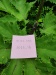 Thumbnail IMG20220710145114.jpg 