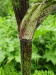 Thumbnail IMG20220710145118.jpg 