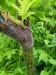 Thumbnail IMG20220710145128.jpg 