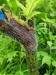 Thumbnail IMG20220710145130.jpg 