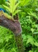 Thumbnail IMG20220710145133.jpg 