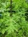 Thumbnail IMG20220710145144.jpg 