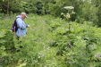 Thumbnail IMG_4357.JPG 