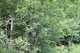 Thumbnail IMG_4362.JPG 
