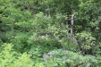 Thumbnail IMG_4364.JPG 
