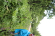 Thumbnail IMG_4380.JPG 