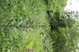 Thumbnail IMG_4402.JPG 
