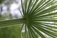 Thumbnail IMG_4410.JPG 