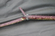 Thumbnail IMG_4422.JPG 