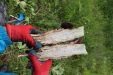 Thumbnail IMG_4434.JPG 
