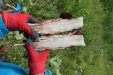 Thumbnail IMG_4435.JPG 