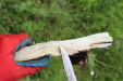 Thumbnail IMG_4440.JPG 
