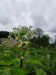 Thumbnail IMG20220710155043.jpg 