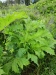 Thumbnail IMG20220710155055.jpg 