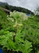 Thumbnail IMG20220710155107.jpg 