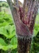 Thumbnail IMG20220710155119.jpg 