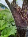 Thumbnail IMG20220710155122.jpg 