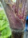 Thumbnail IMG20220710155125.jpg 