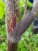 Thumbnail IMG20220710155140.jpg 