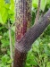 Thumbnail IMG20220710155143.jpg 