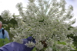 Thumbnail IMG_4531.JPG 