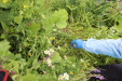 Thumbnail IMG_4546.JPG 