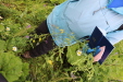 Thumbnail IMG_4550.JPG 