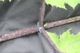 Thumbnail IMG_4562.JPG 