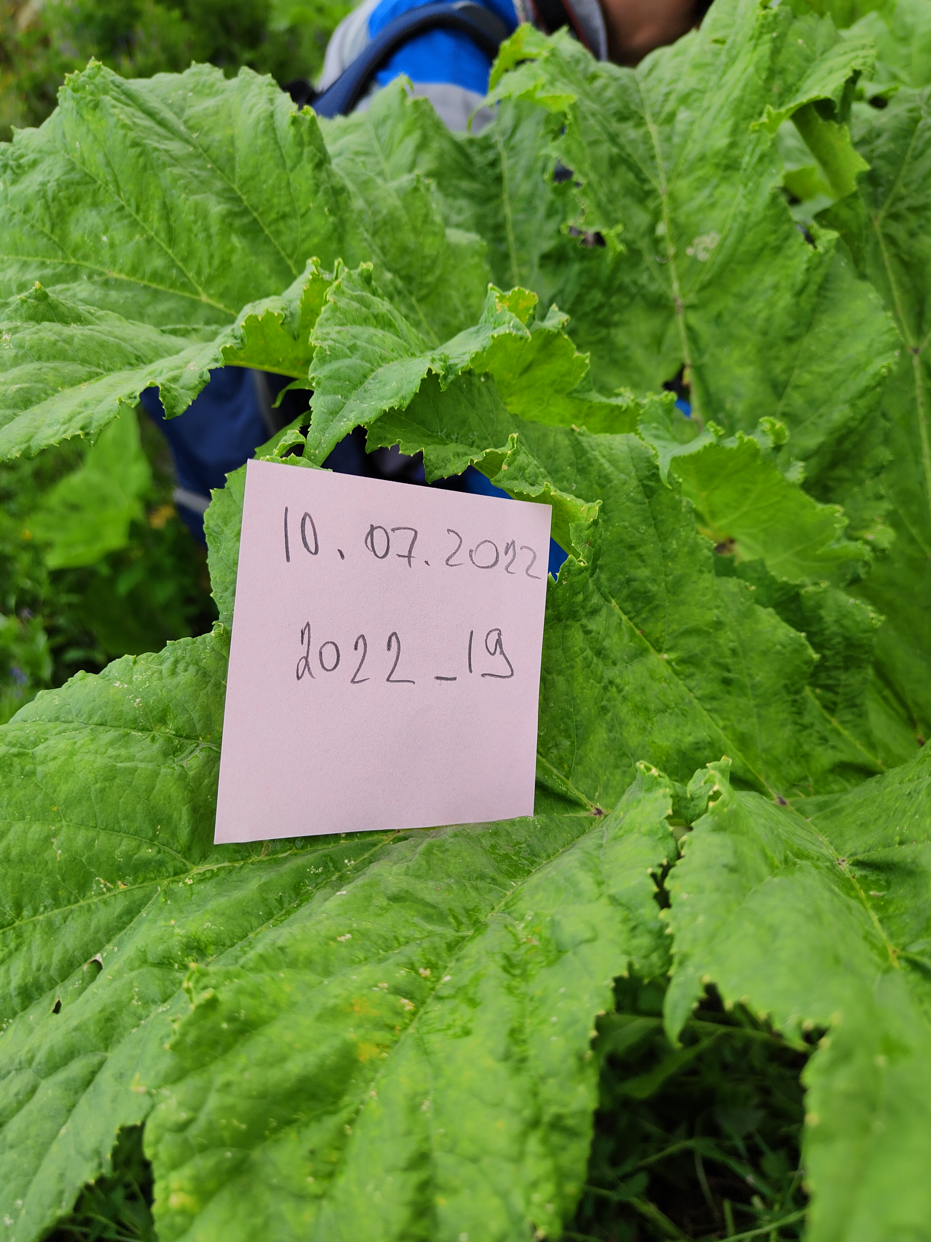 IMG20220710155039.jpg 