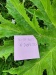 Thumbnail IMG20220710175949.jpg 