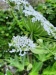 Thumbnail IMG20220710180014.jpg 