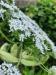 Thumbnail IMG20220710180024.jpg 
