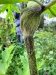 Thumbnail IMG20220710180102.jpg 