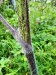 Thumbnail IMG20220710180107.jpg 