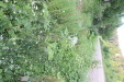 Thumbnail IMG_4681.JPG 