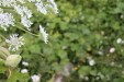 Thumbnail IMG_4687.JPG 