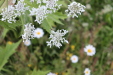 Thumbnail IMG_4692.JPG 