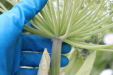 Thumbnail IMG_4698.JPG 