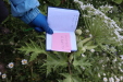 Thumbnail IMG_4699.JPG 