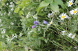 Thumbnail IMG_4711.JPG 