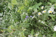 Thumbnail IMG_4712.JPG 