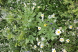 Thumbnail IMG_4713.JPG 