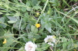 Thumbnail IMG_4730.JPG 