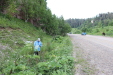Thumbnail IMG_4735.JPG 