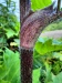 Thumbnail IMG20220710181211.jpg 