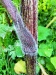 Thumbnail IMG20220710181218.jpg 