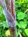 Thumbnail IMG20220710181220.jpg 