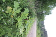 Thumbnail IMG_4773.JPG 