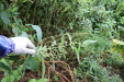 Thumbnail IMG_4942.JPG 