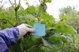 Thumbnail IMG_4953.JPG 
